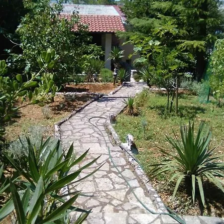 In 41877 *